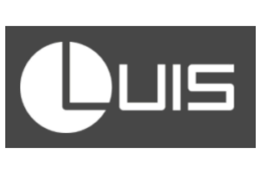 Logo luislights